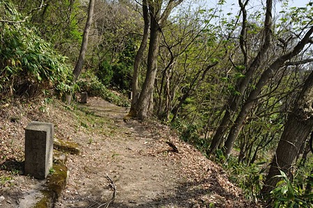 1005051351_DSC_5659