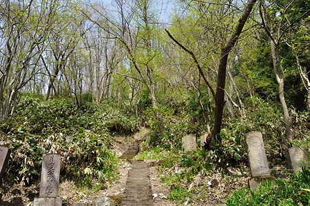 1005051402_DSC_5665
