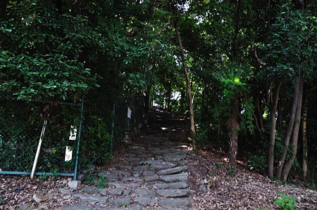 1008221257_DSC_9068