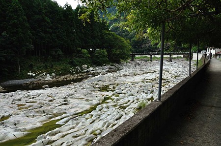 1009201147_DSC_2877