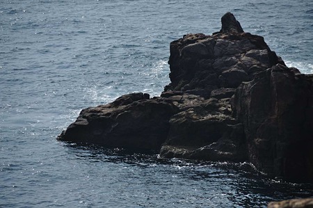 1009201421_DSC_2965