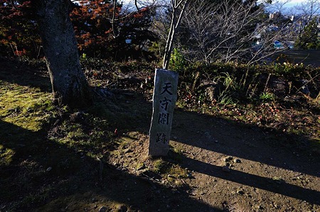 1011231537_DSC_4816