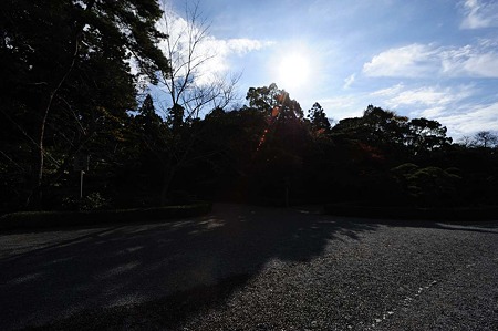 1011241011_DSC_5132