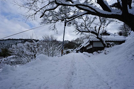 1101011346_DSC_6467