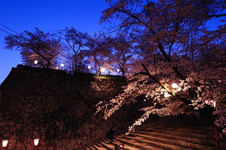 1104121859_DSC_9635