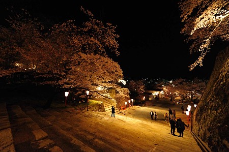 1104121940_DSC_9774