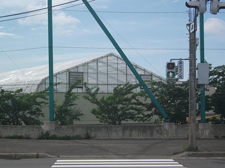 DSCF2346
