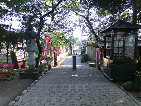 CIMG0220
