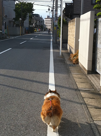 写真 64