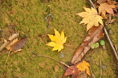 DSC_9605