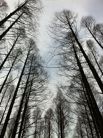 写真 1