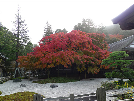 雷山千如寺大悲王院(2)