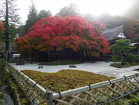 雷山千如寺大悲王院(3)