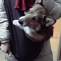 Photos: 2011020117060000