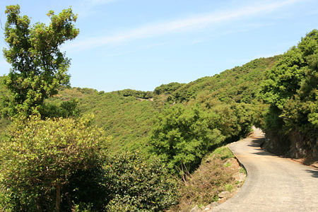 kasiwabarayama3