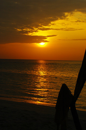 IMGP0807