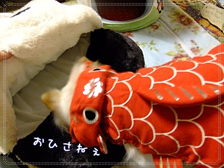 おひさ