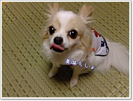 ミミちゃん