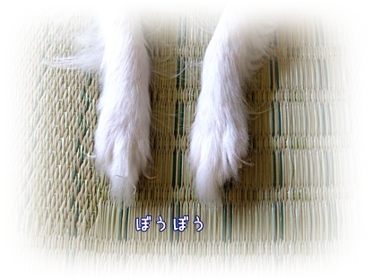 伸び放題