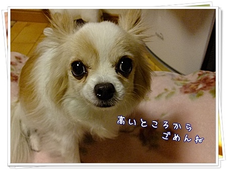 美味ちいもん