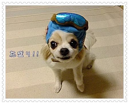 花盛り