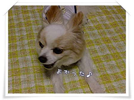 よかった