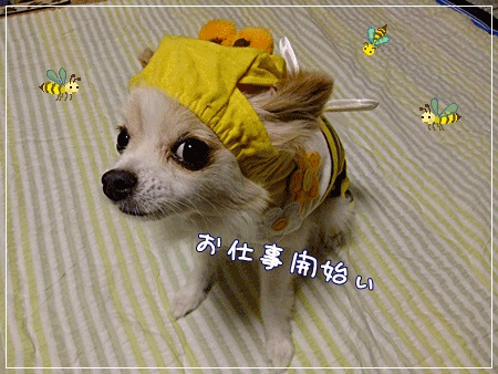 お仕事開始