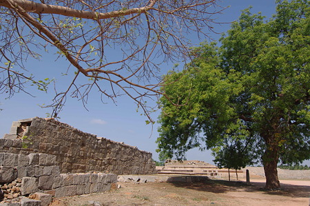 IMGP4012