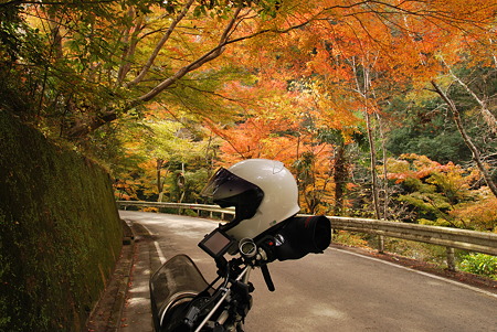 2010年・紅葉のR371-8
