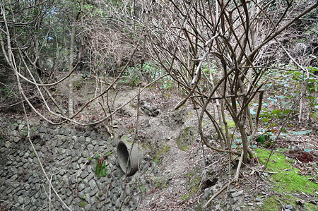 国道260号線・中坂隧道旧道-9
