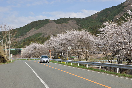 広島r23-1