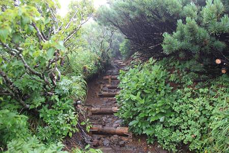 利尻岳-20100814-085010