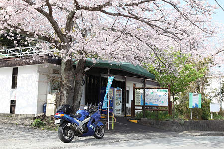 20110410富戸駅01