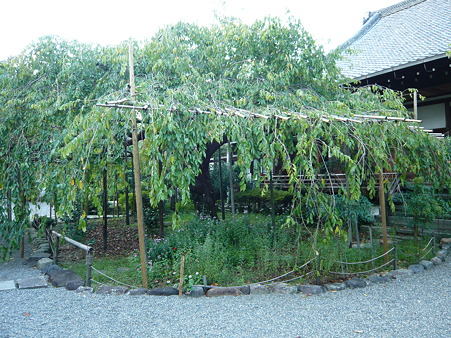 2011.9.25 018