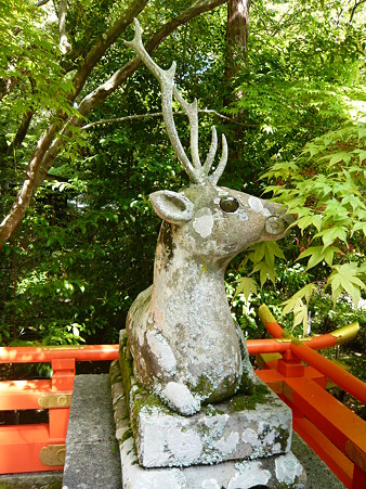 2011.5.8 071