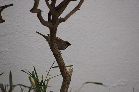DSC07007
