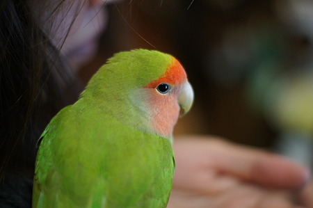 DSC00151