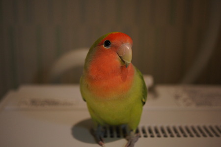 DSC00103