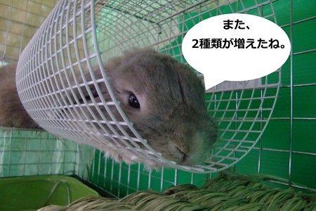 あ6