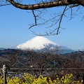 2013年_近郊から見た富士山
