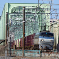 常磐線を走る列車たち 江戸川橋梁にて 2024年冬
